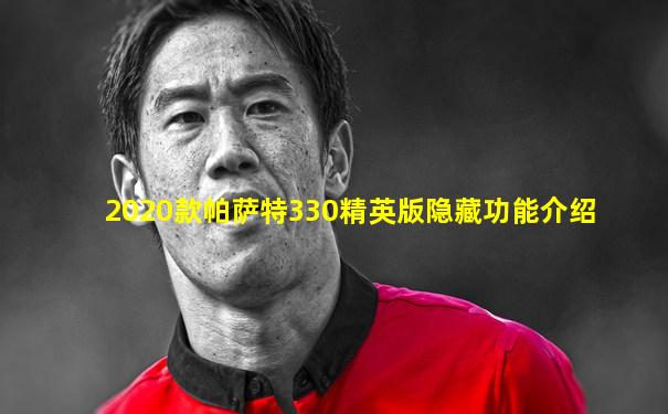 2020款帕萨特330精英版隐藏功能介绍