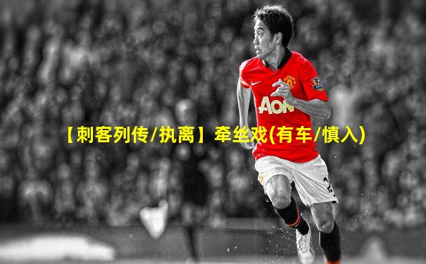 【刺客列传/执离】牵丝戏(有车/慎入)