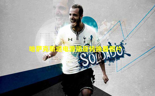 哈萨克斯坦电源插座转换器图片