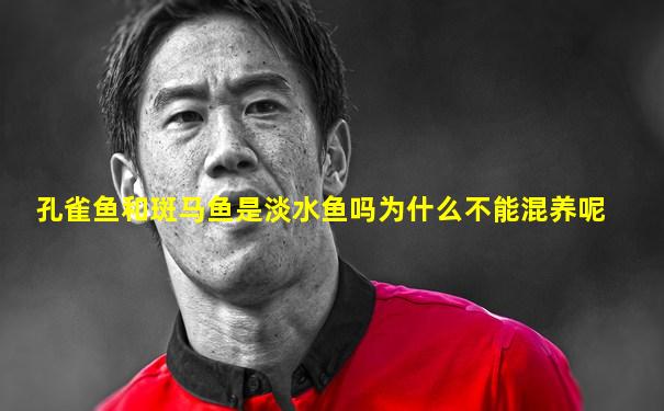 孔雀鱼和斑马鱼是淡水鱼吗为什么不能混养呢