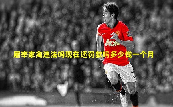 屠宰家禽违法吗现在还罚款吗多少钱一个月