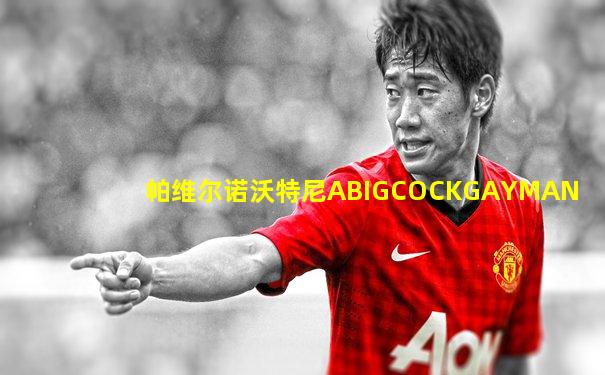帕维尔诺沃特尼ABIGCOCKGAYMAN