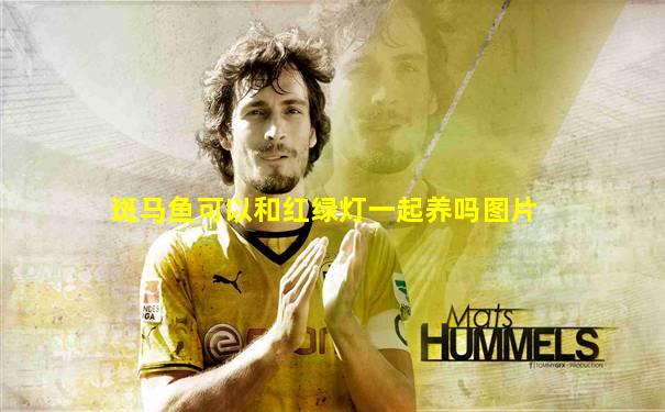 斑马鱼可以和红绿灯一起养吗图片