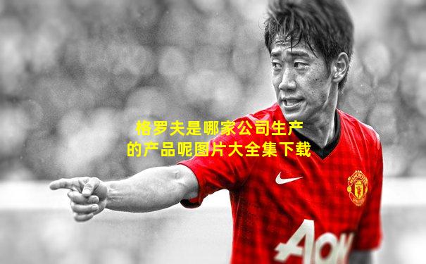 格罗夫是哪家公司生产的产品呢图片大全集下载