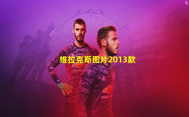 维拉克斯图片2013款