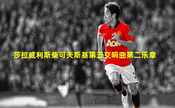 莎拉威利斯柴可夫斯基第五交响曲第二乐章