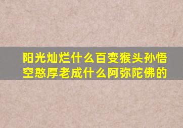 阳光灿烂什么百变猴头孙悟空憨厚老成什么阿弥陀佛的