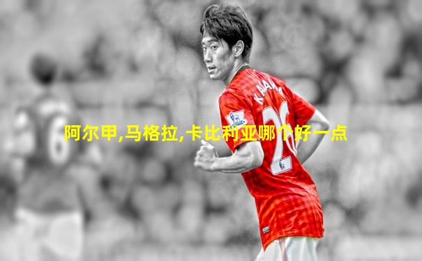 阿尔甲,马格拉,卡比利亚哪个好一点