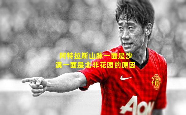 阿特拉斯山脉一面是沙漠一面是北非花园的原因