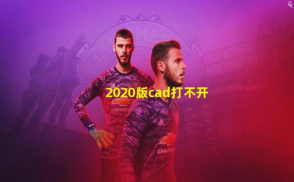 2020版cad打不开
