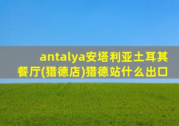 antalya安塔利亚土耳其餐厅(猎德店)猎德站什么出口