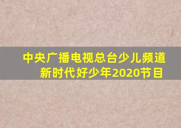 中央广播电视总台少儿频道新时代好少年2020节目