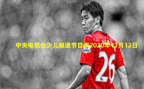 中央电视台少儿频道节目表2020年11月12日