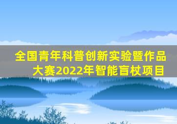 全国青年科普创新实验暨作品大赛2022年智能盲杖项目