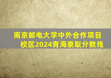 南京邮电大学中外合作项目校区2024青海录取分数线