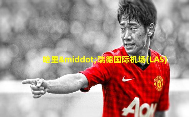 哈里·瑞德国际机场(LAS)