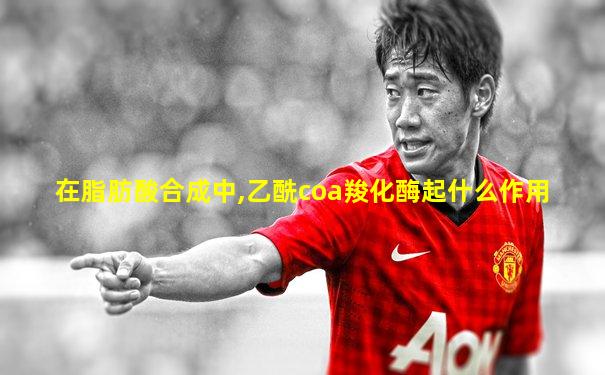 在脂肪酸合成中,乙酰coa羧化酶起什么作用
