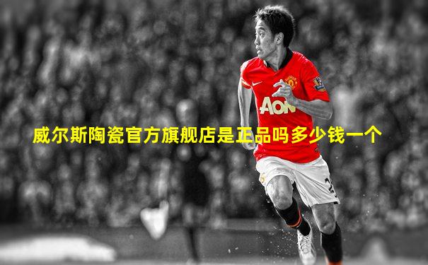 威尔斯陶瓷官方旗舰店是正品吗多少钱一个