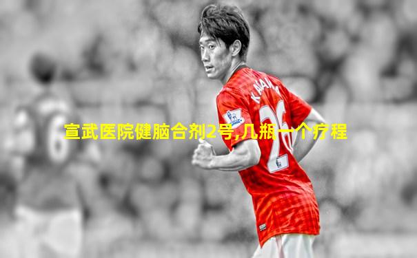 宣武医院健脑合剂2号,几瓶一个疗程