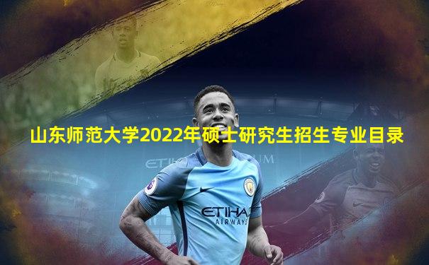 山东师范大学2022年硕士研究生招生专业目录
