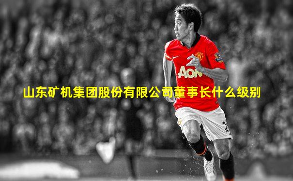 山东矿机集团股份有限公司董事长什么级别