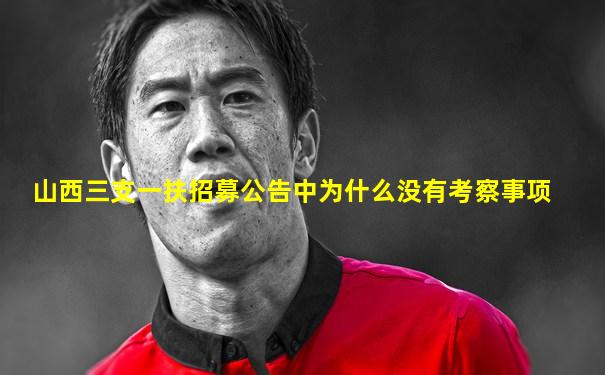 山西三支一扶招募公告中为什么没有考察事项