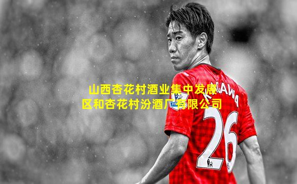 山西杏花村酒业集中发展区和杏花村汾酒厂有限公司