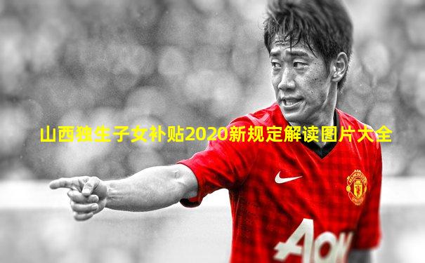 山西独生子女补贴2020新规定解读图片大全