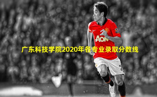 广东科技学院2020年各专业录取分数线