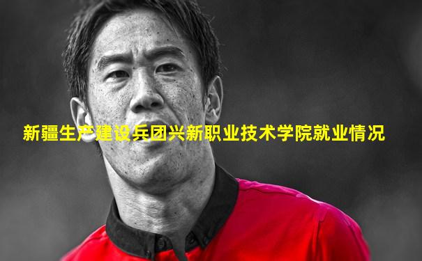 新疆生产建设兵团兴新职业技术学院就业情况