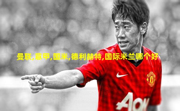 曼联,意甲,国米,德利赫特,国际米兰哪个好