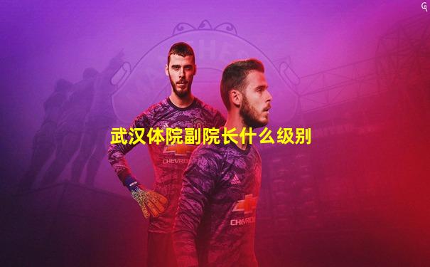 武汉体院副院长什么级别
