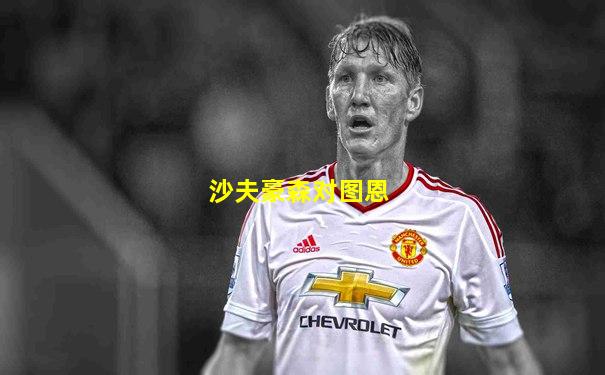 沙夫豪森对图恩