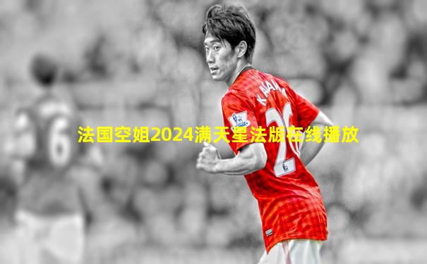 法国空姐2024满天星法版在线播放