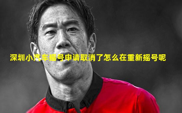 深圳小汽车摇号申请取消了怎么在重新摇号呢