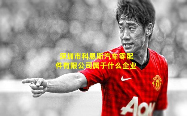 深圳市科恩斯汽车零配件有限公司属于什么企业
