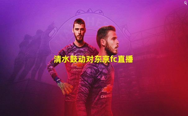 清水鼓动对东京fc直播