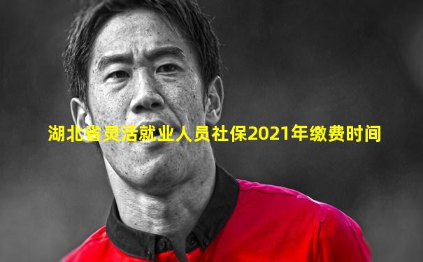 湖北省灵活就业人员社保2021年缴费时间