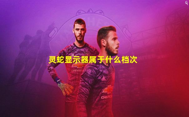 灵蛇显示器属于什么档次