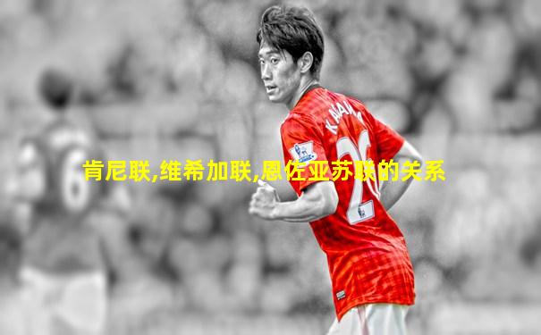 肯尼联,维希加联,恩佐亚苏联的关系