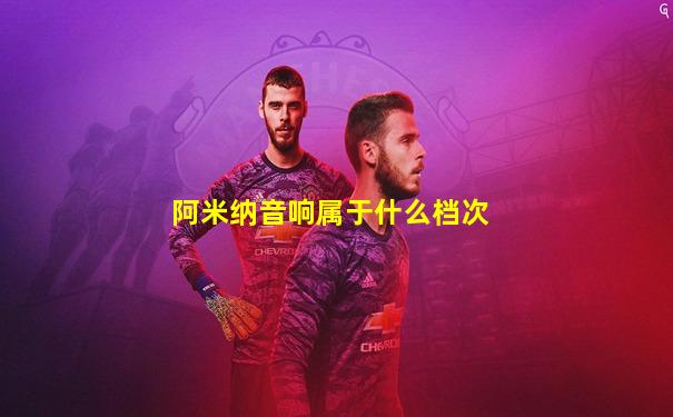 阿米纳音响属于什么档次