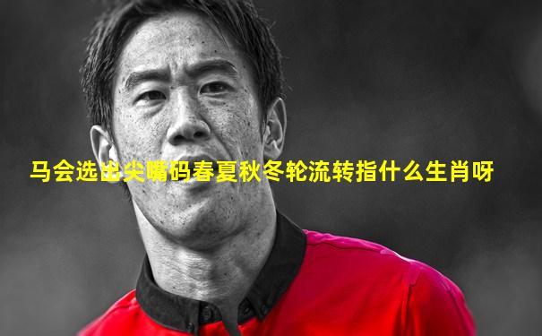 马会选出尖嘴码春夏秋冬轮流转指什么生肖呀
